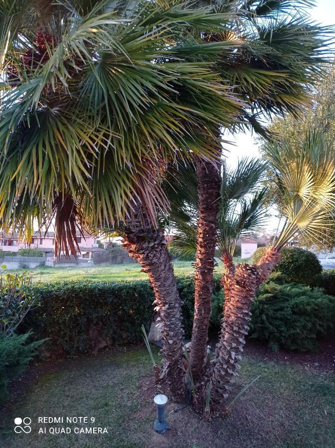 La Forma Dell'Acqua Bed & Breakfast Su Forti Luaran gambar